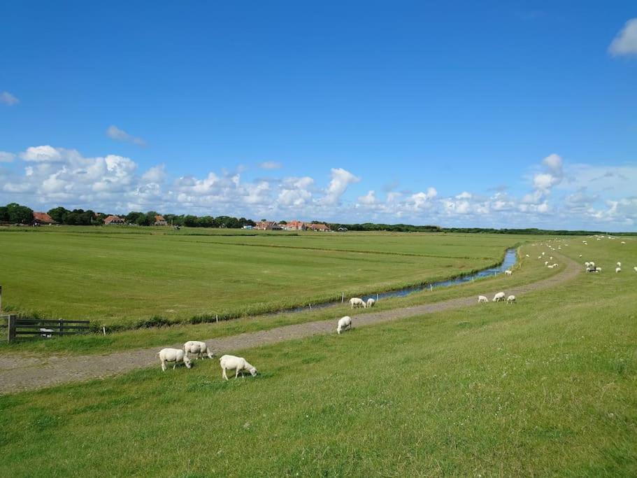 De Oostkamer; Eiland Appartement Naast Natuurgebied Boschplaat Oosterend  Ngoại thất bức ảnh