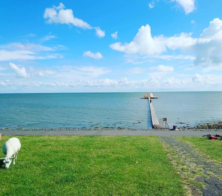 De Oostkamer; Eiland Appartement Naast Natuurgebied Boschplaat Oosterend  Ngoại thất bức ảnh
